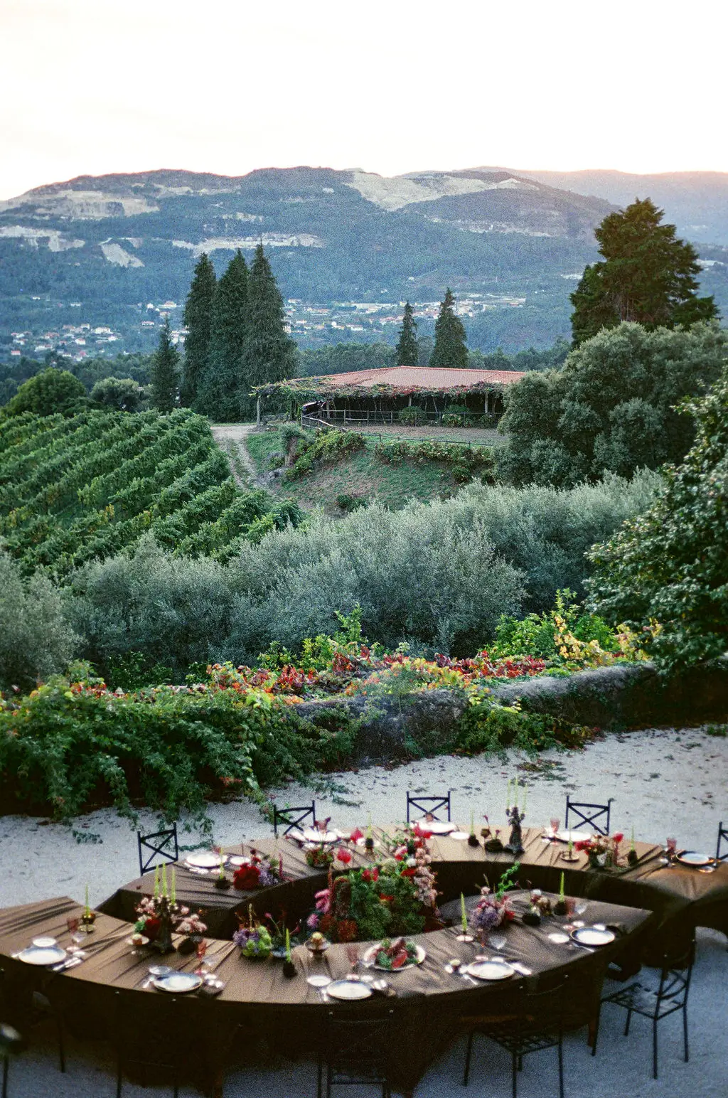 Vineyard View Outdoor Wedding